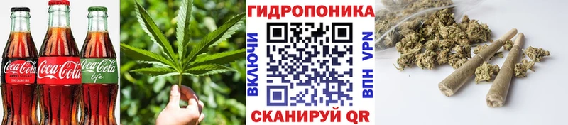 Canna-Cookies конопля МЕГА сайт Гуково